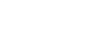 VOLTEIK